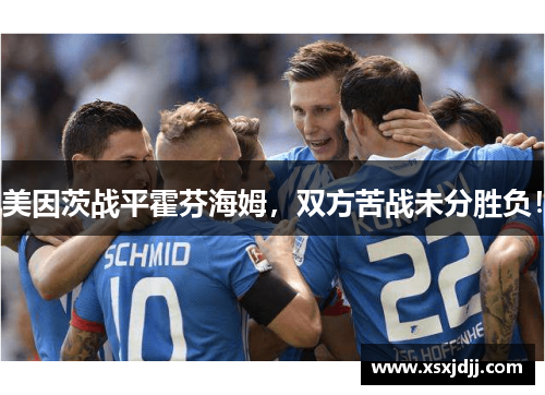美因茨战平霍芬海姆，双方苦战未分胜负！