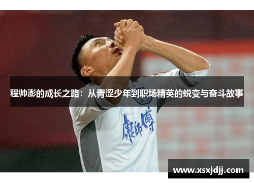 程帅澎的成长之路：从青涩少年到职场精英的蜕变与奋斗故事