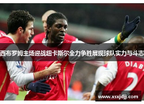 西布罗姆主场迎战纽卡斯尔全力争胜展现球队实力与斗志