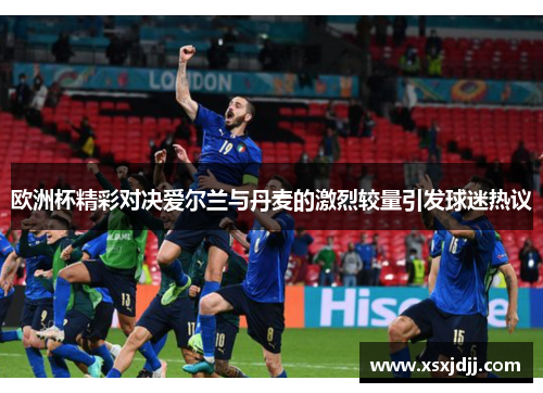 欧洲杯精彩对决爱尔兰与丹麦的激烈较量引发球迷热议
