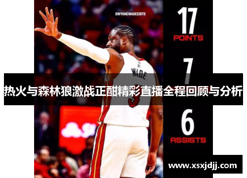 热火与森林狼激战正酣精彩直播全程回顾与分析